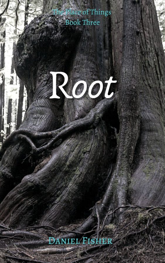 Root - Daniel Fisher - The Place Of Things