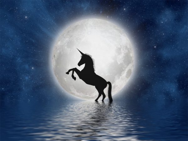 unicorn - pixabay