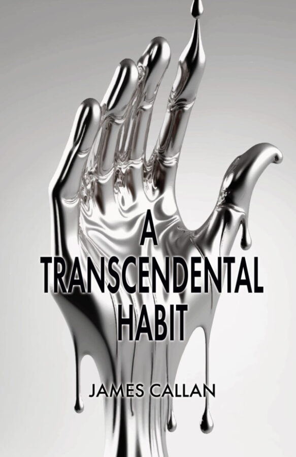 A Transcendental Habit - James Callan