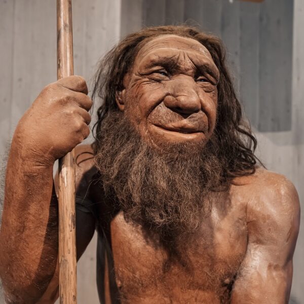 Dutch Neanderthal's Face Revealed