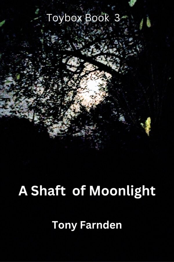 Book Cover: A Shaft of Moonlight