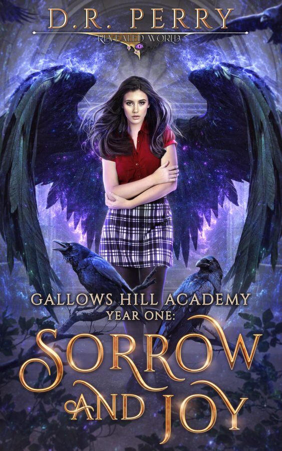 Sorrow and Joy - D.R. Perry - Gallows Hill Academy