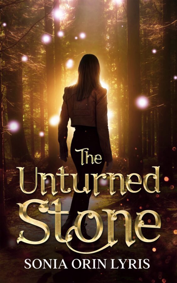 Book Cover: The Unturned Stone