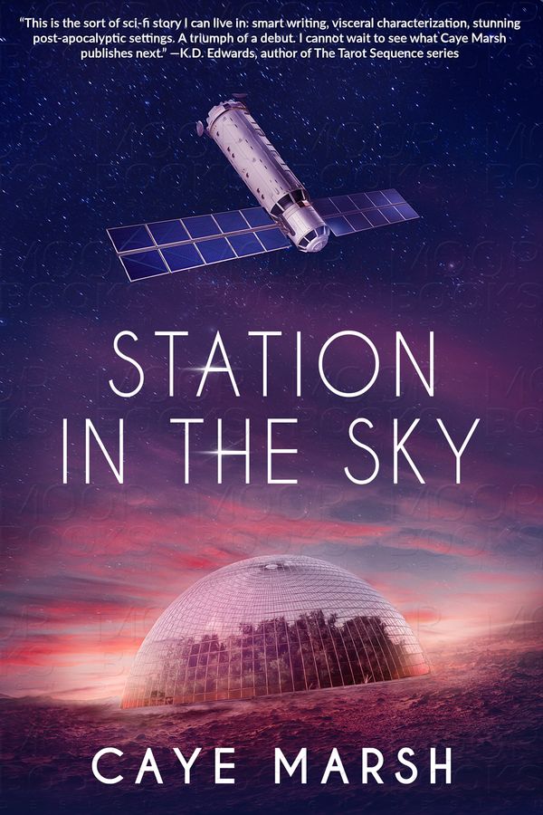 Station in the Sky - Caye Marsh